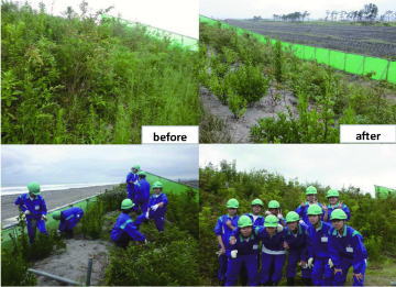 緑の防潮堤でのメンテナンス作業体験